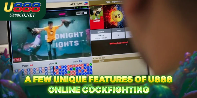 A few unique features of U888 Online Cockfighting