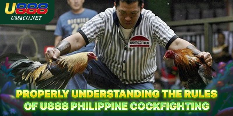 U888 Philippine Cockfighting - Claim Your Huge Reward Properly understanding the rules of U888 Philippine Cockfighting