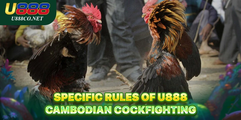 Specific rules of U888 Cambodian Cockfighting