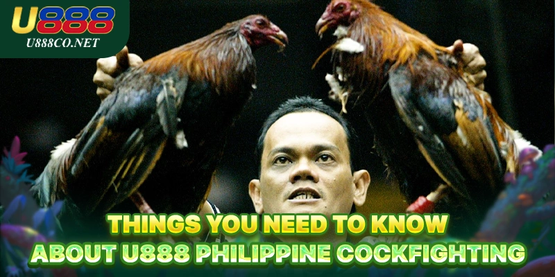 Things you need to know about U888 Philippine Cockfighting