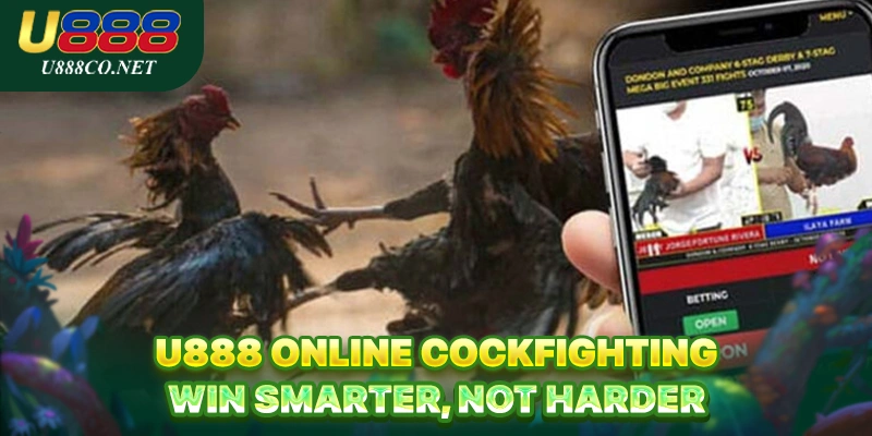 U888 Online Cockfighting - Win Smarter, Not Harder U888 Online Cockfighting - Win Smarter, Not Harder